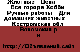 Жиотные › Цена ­ 50 - Все города Хобби. Ручные работы » Для домашних животных   . Костромская обл.,Вохомский р-н